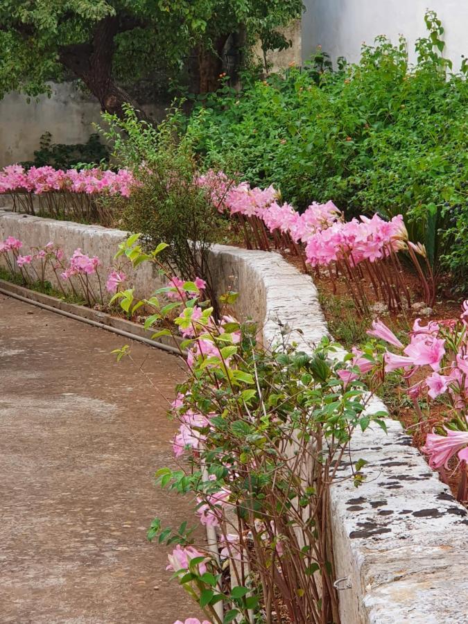 Villa Nel Salento - Ampie Camere E Giardino, Fino A 9 Persone Barbarano del Capo Zewnętrze zdjęcie